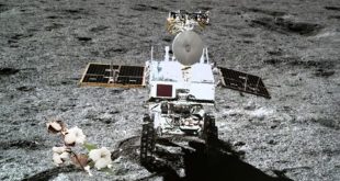 china grows cotton on moon