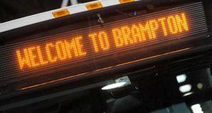 brampton municipal transit fund