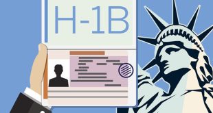 drop in H-1B visa approvals