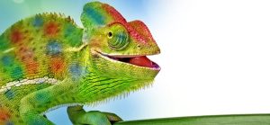 Artificial Chameleon Skin