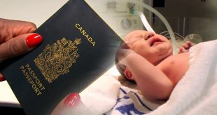 canada birth tourism