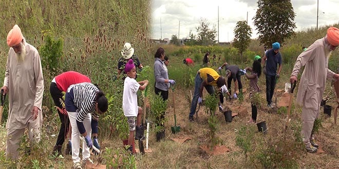 eco sikh plant 200 trees