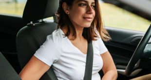 vehicle-buckle@large