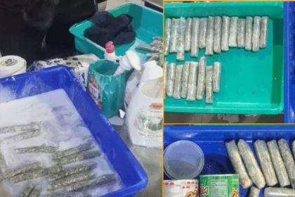Customs Foils Drug Smuggling 2550g Cannabis Caught at Amritsar Airport