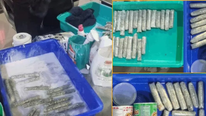 Customs Foils Drug Smuggling 2550g Cannabis Caught at Amritsar Airport